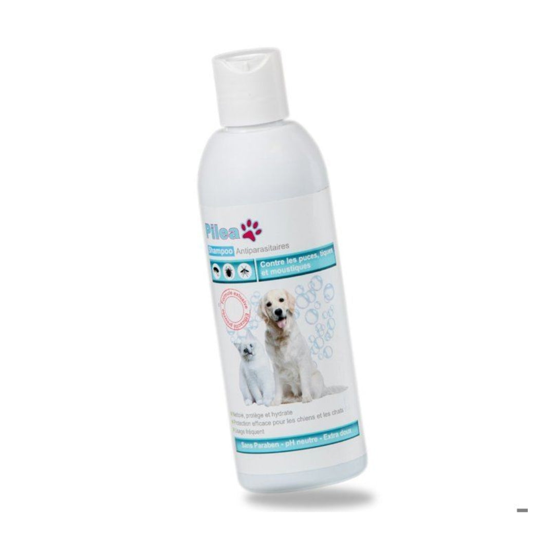 Pilea Shampoing Antiparasitaires 200ml