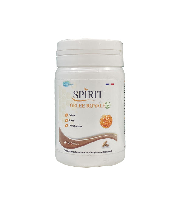 SPIRIT